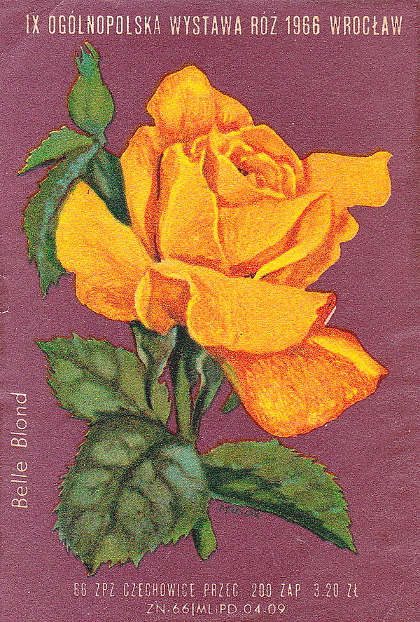 1919