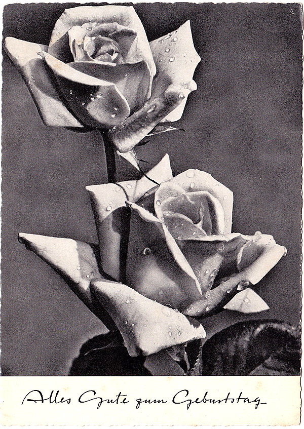 1926