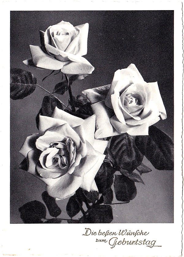 1929