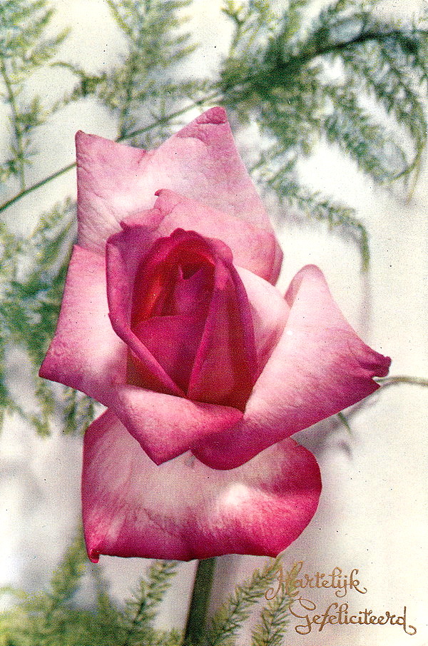 1946