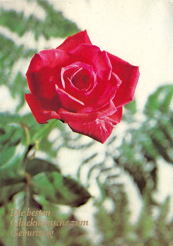 1947