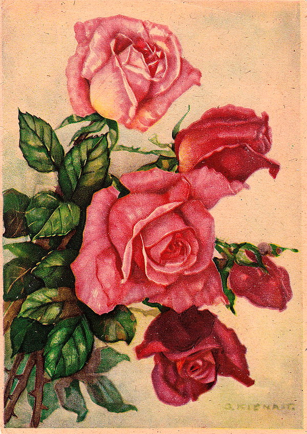 1948