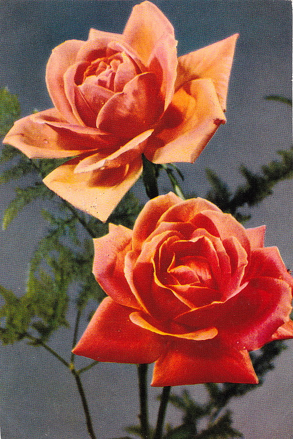 1949