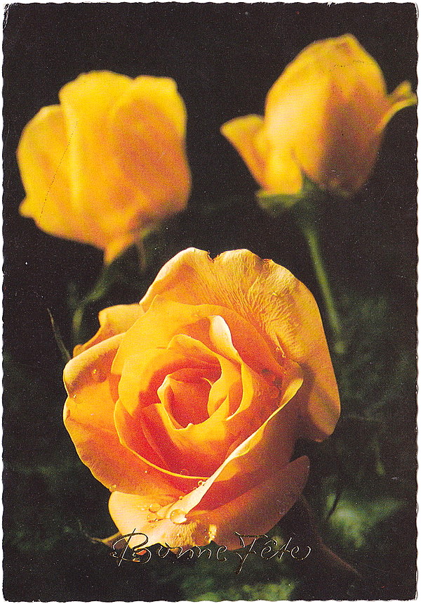 1950