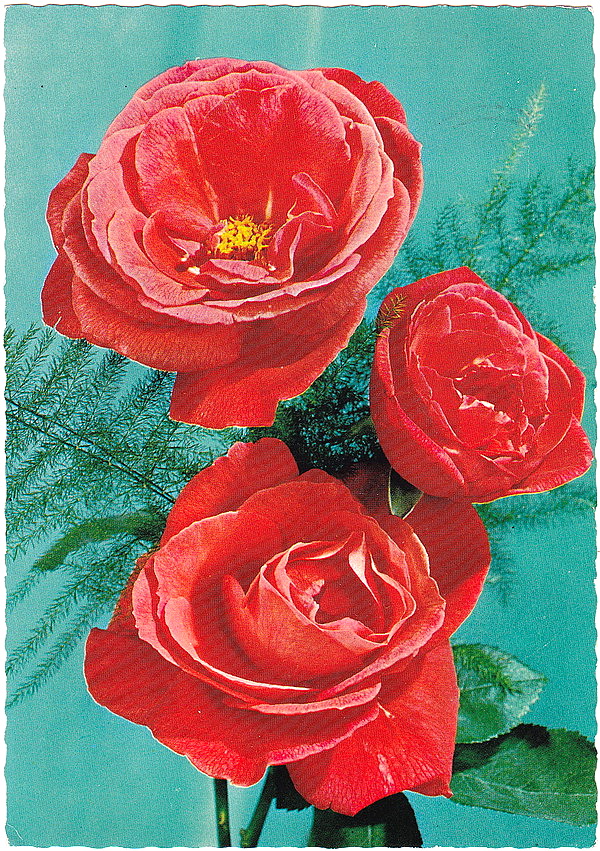 1951