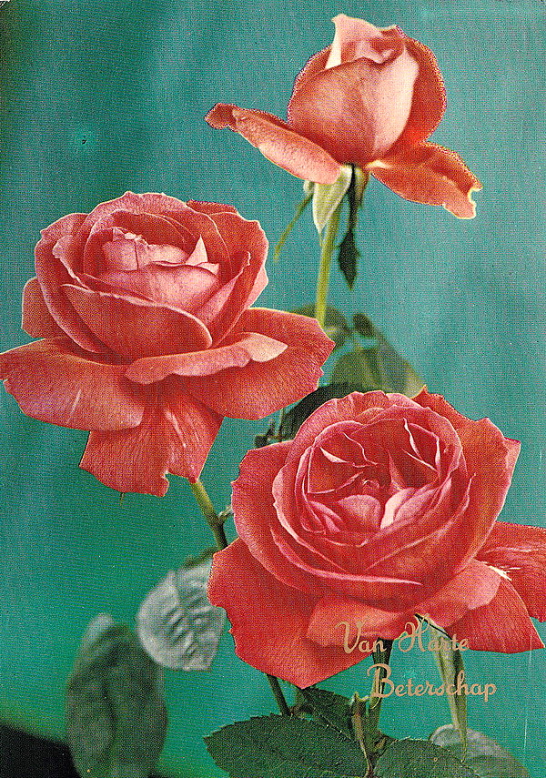 1952