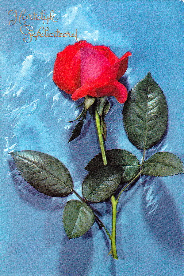 1955