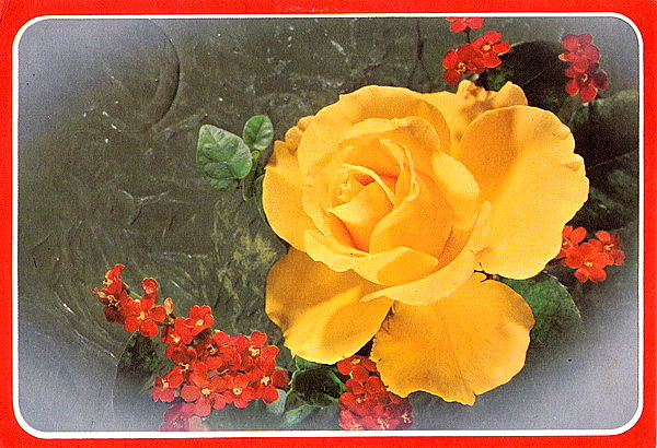1962