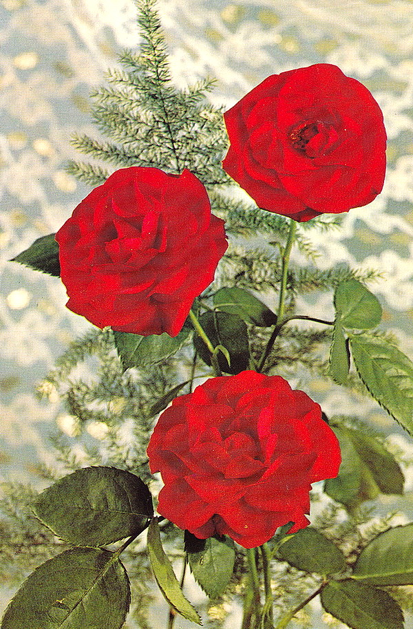 1967