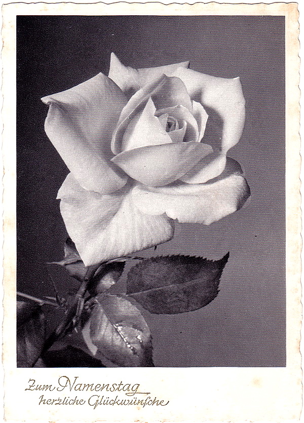 1969