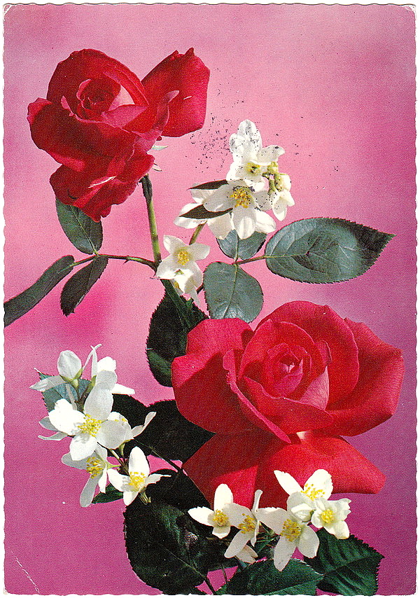 1975