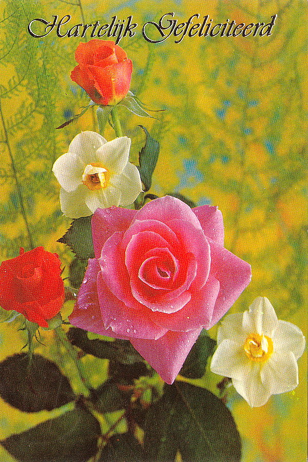 1979
