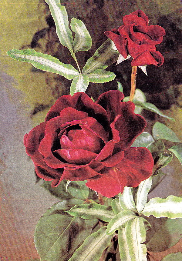 1989
