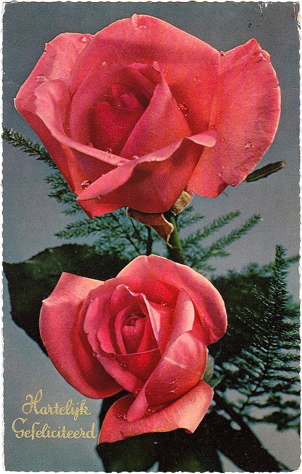 1990