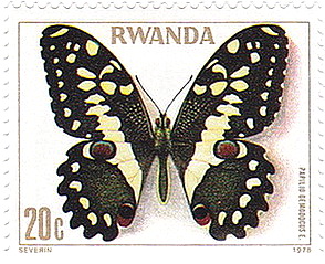 224