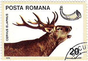 2363