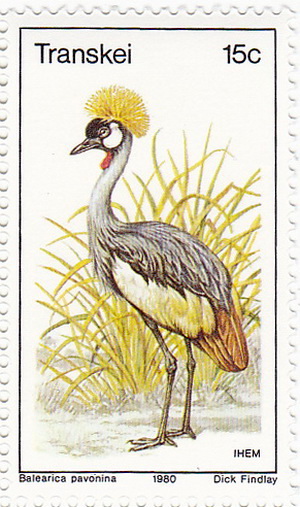 65