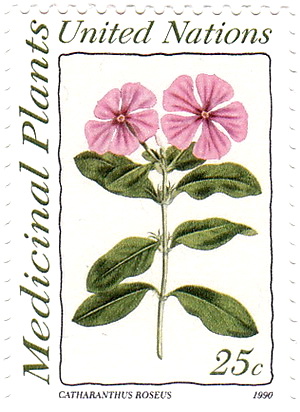 558