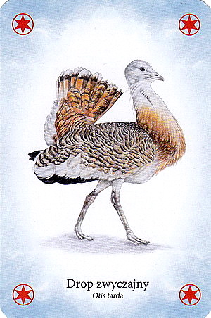 1652